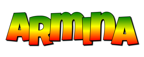 Armina mango logo