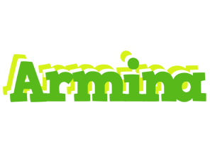 Armina picnic logo