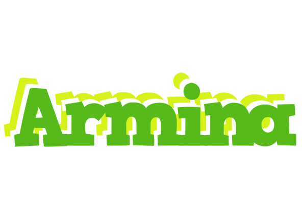 Armina picnic logo