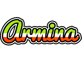 Armina superfun logo