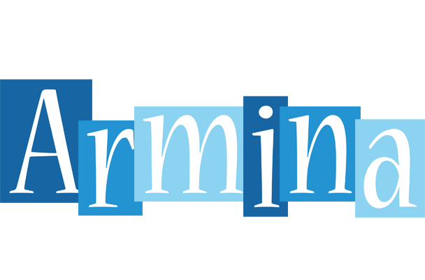 Armina winter logo