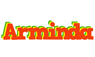 Arminda bbq logo