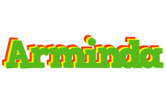 Arminda crocodile logo