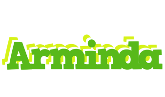 Arminda picnic logo