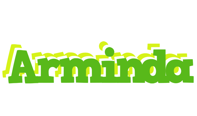 Arminda picnic logo