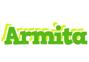 Armita picnic logo