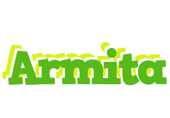 Armita picnic logo