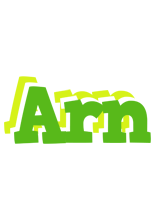 Arn picnic logo