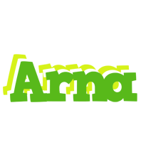 Arna picnic logo