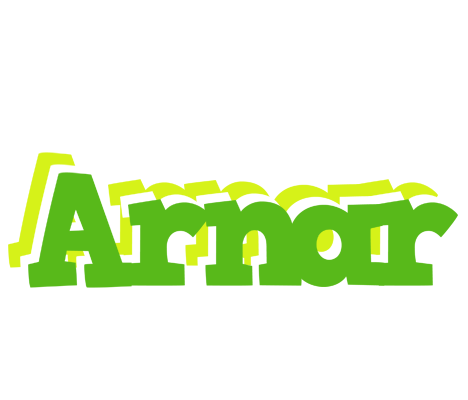 Arnar picnic logo