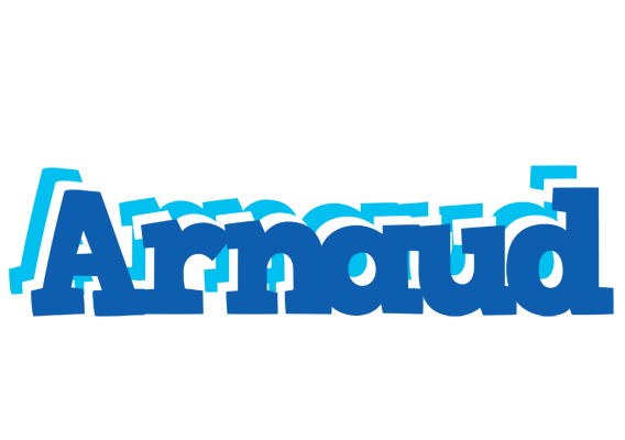 Arnaud business logo