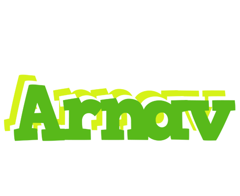 Arnav picnic logo