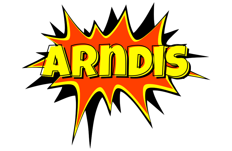 Arndis bazinga logo