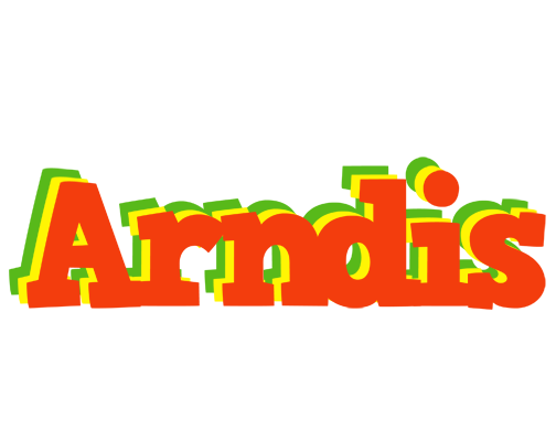 Arndis bbq logo