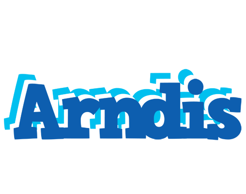 Arndis business logo