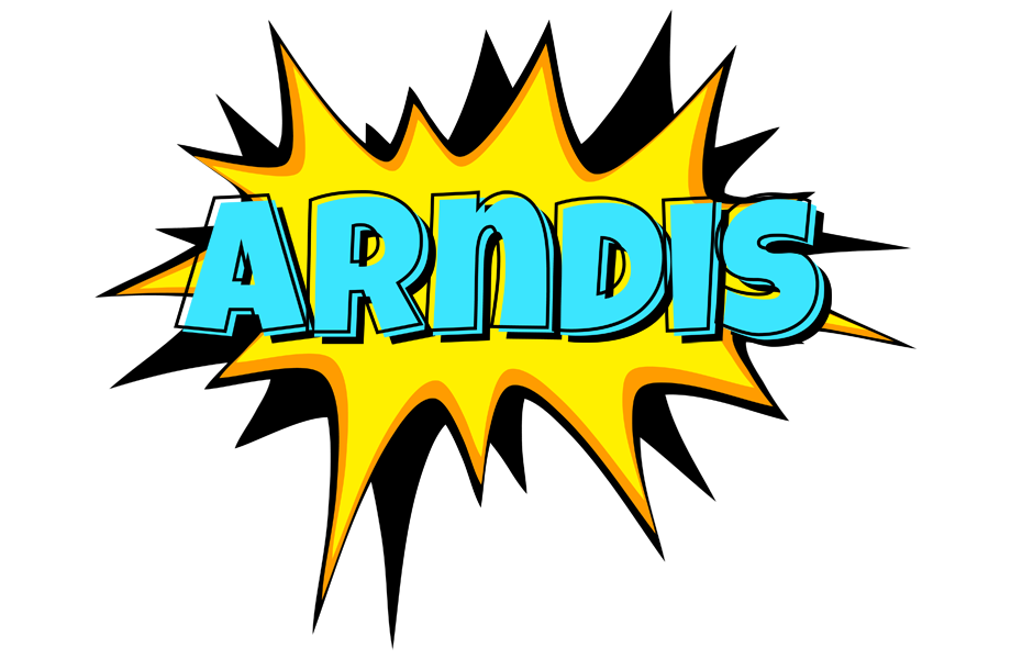 Arndis indycar logo