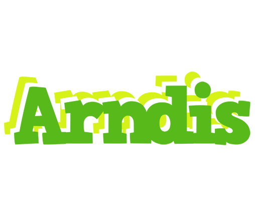 Arndis picnic logo