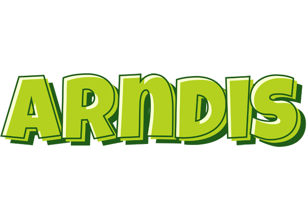 Arndis summer logo
