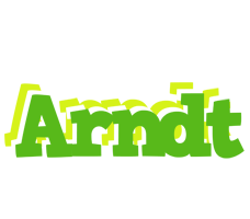 Arndt picnic logo