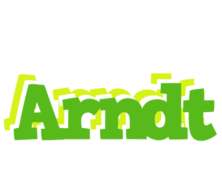Arndt picnic logo