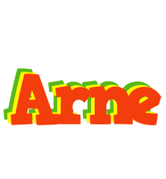 Arne bbq logo