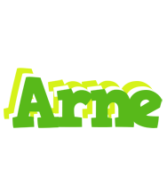 Arne picnic logo