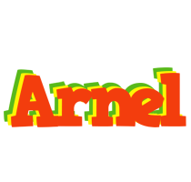 Arnel bbq logo