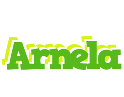 Arnela picnic logo