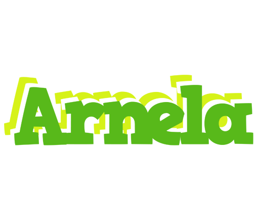 Arnela picnic logo