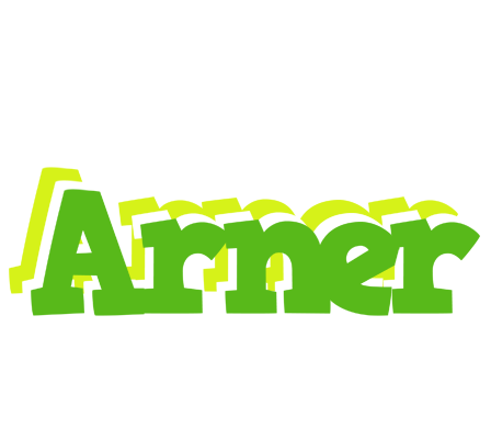 Arner picnic logo