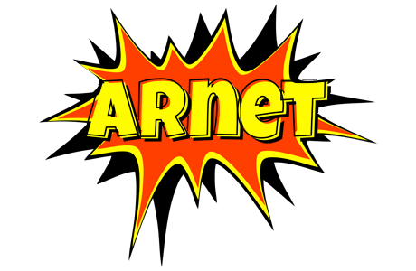 Arnet bazinga logo