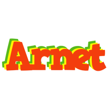 Arnet bbq logo