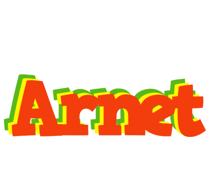 Arnet bbq logo