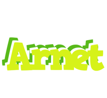 Arnet citrus logo