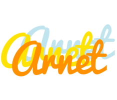 Arnet energy logo