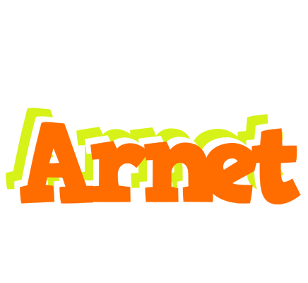 Arnet healthy logo