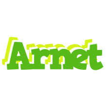 Arnet picnic logo