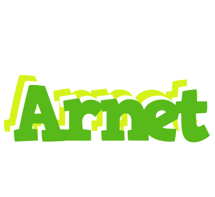 Arnet picnic logo