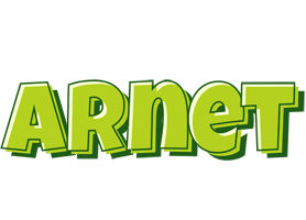 Arnet summer logo