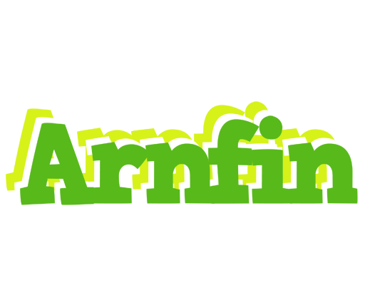 Arnfin picnic logo