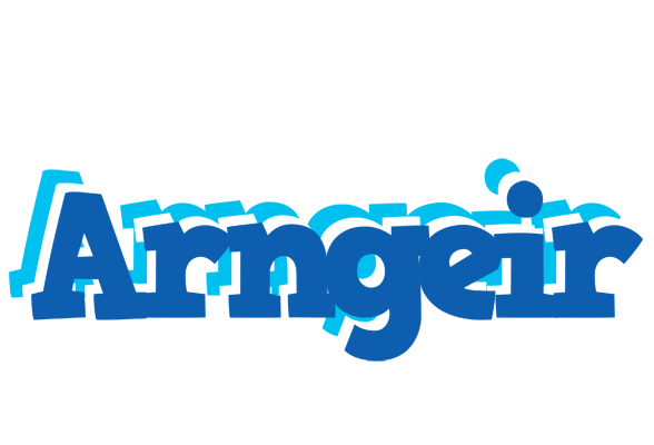 Arngeir business logo