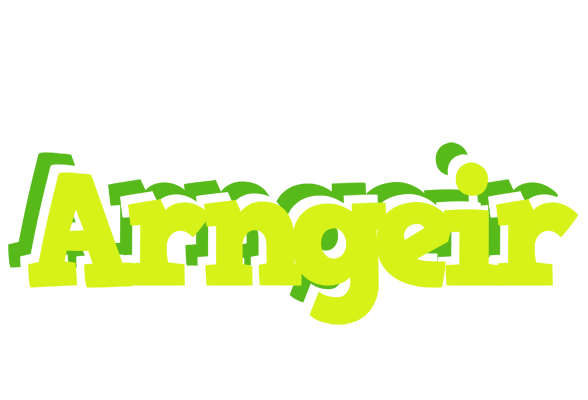 Arngeir citrus logo