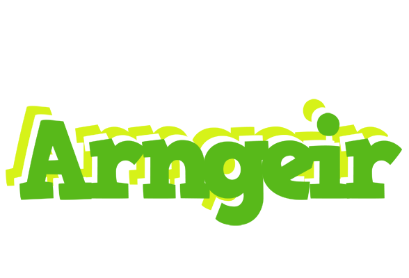 Arngeir picnic logo