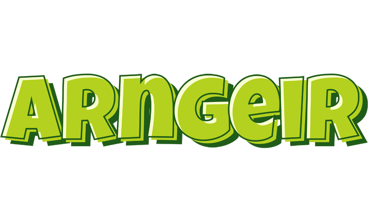 Arngeir summer logo