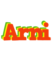 Arni bbq logo