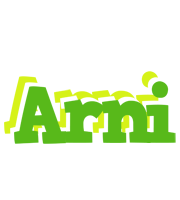 Arni picnic logo