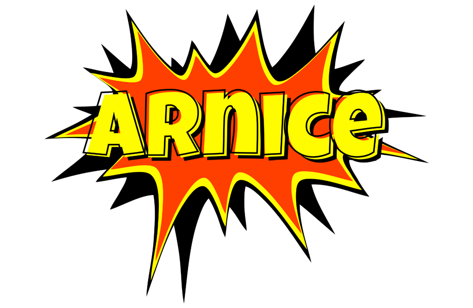 Arnice bazinga logo
