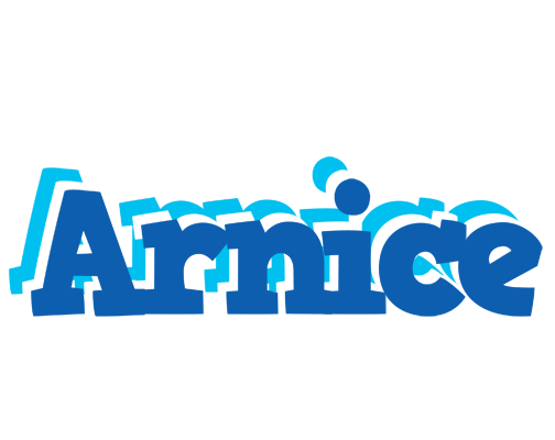 Arnice business logo