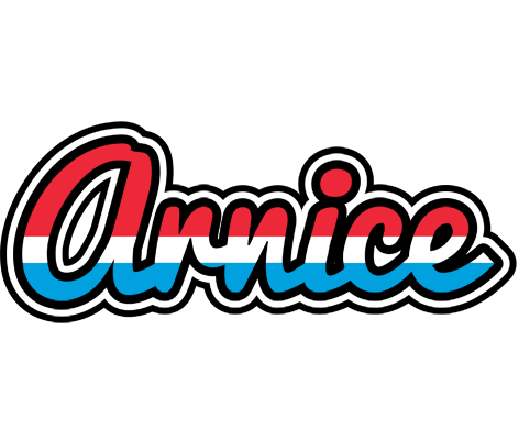 Arnice norway logo