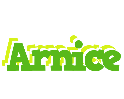 Arnice picnic logo